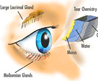 Grity Uncomfortable Eyes?